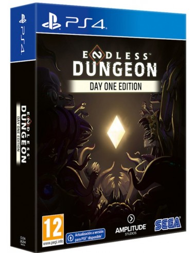 Endless Dungeon Day One Edition - PS4