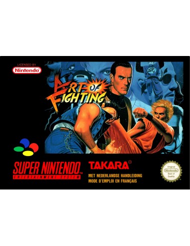 Art of Fighting (Sin Manual) - SNES