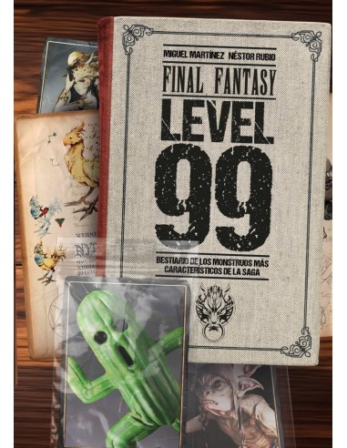 Libro Final Fantasy Level 99 - LIB
