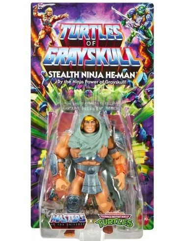 MOTU x TMNT: Turtles of Grayskull...