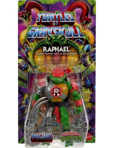 MOTU x TMNT: Turtles of Grayskull...