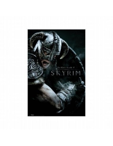 Poster Skyrim Attack 61X91 5CM
