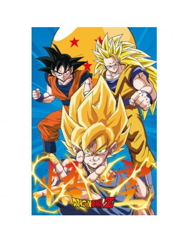 Poster Dragon Ball Z 3 Gokus Evo