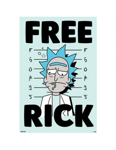 Poster Rick Y Morty Free Rick 61x91'5cm