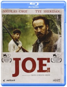Joe (2013)