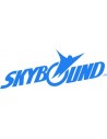Skybound Games